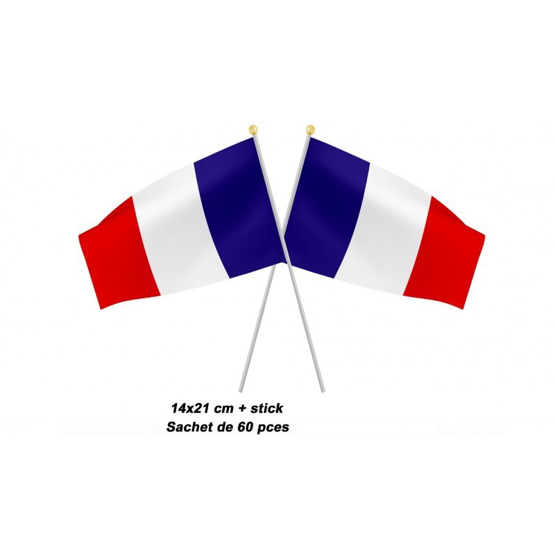 Petit Drapeau France 14x21cm - Coti Jouets, spécialiste événementiel, fan  de l'Euro de foot, gamme complète pour supporter