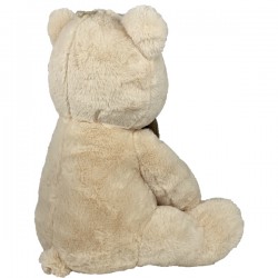 Vrai Ou Faux Faits Jeu Baby shower Teddy Bear