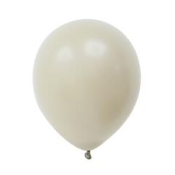 Ballons de Baudruche Opaques Fossil 100 Pièces