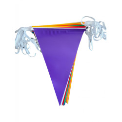 Guirlande Multicolore 10 Mètres Fanions Triangulaires