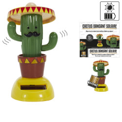 Cactus Danseur Solaire